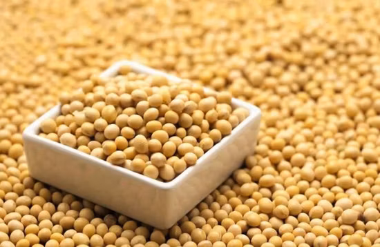 Polvere di collagene peptidico di soia, proteine ​​vegetali idrolizzate con piccole molecole per integratore alimentare salutare