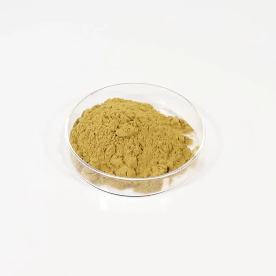 Estratto vegetale, mangime per animali, polifenoli, estratto di Echinacea purpurea con polifenoli, 4% UV